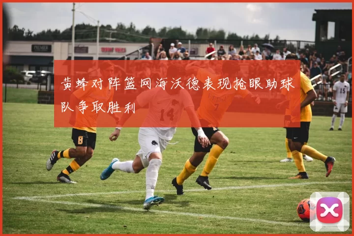 黄蜂对阵篮网海沃德表现抢眼助球队争取胜利