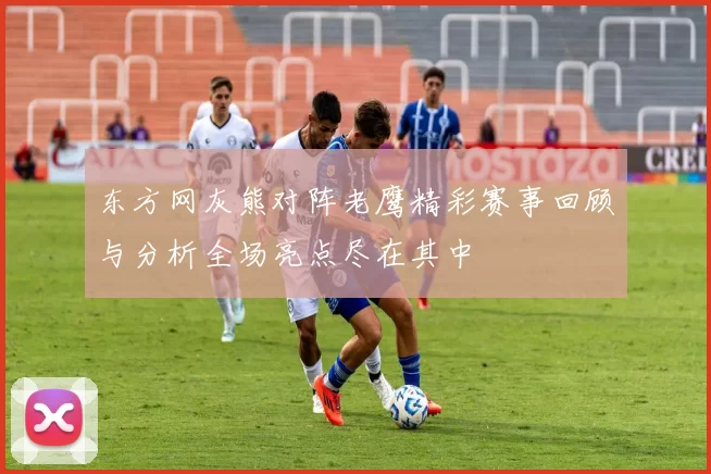 东方网灰熊对阵老鹰精彩赛事回顾与分析全场亮点尽在其中